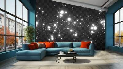 Vector magic glow. White glow, sparkles png, dust png. Flash of sparks, stars on an isolated transparent background. White dust. Wall mural