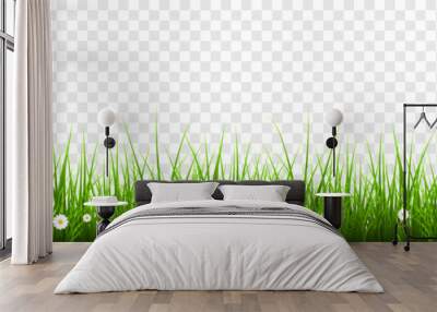 Vector young grass png. Lawn, grass with flowers on an isolated transparent background. Background with grass. Wall mural