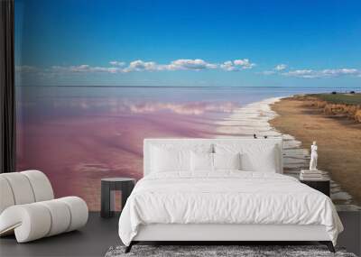 Aerial panoramic image romantic couple walking holding hands on white dry salty shore of pink mineral lake. blue sky with clouds reflected on calm water surface Wall mural