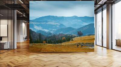 beautiful view of an autumn mountain landscape with a cloudy sky, Western Ukraine. two hikers walking trail on mountain slope to the old wooden hut Wall mural