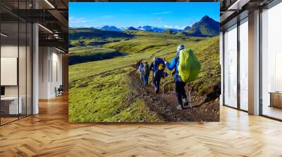 hikers on the trail in the Islandic mountains. Trek in National Park Landmannalaugar, Iceland. valley is covered with bright green moss Wall mural