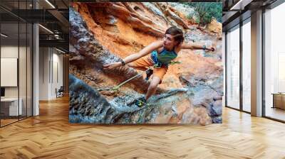 rock climber climbing up a cliff Wall mural