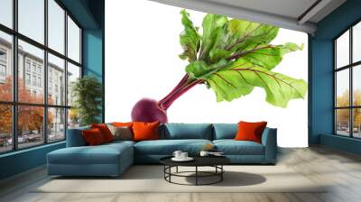 Fresh beetroot isolated on white background Wall mural