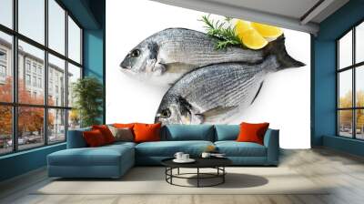 Gilt-head bream (dorade) isolated on white background. With clipping path. Wall mural