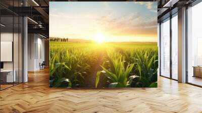 Cornfield landscape with sunrise in the background. Wall mural