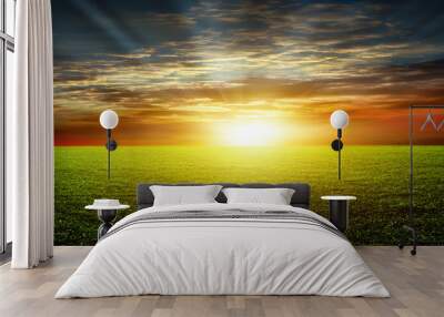  the sun Wall mural