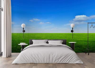 field of green grass 1 Wall mural