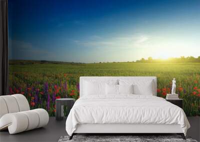 field of lavender, wheat and poppies Wall mural