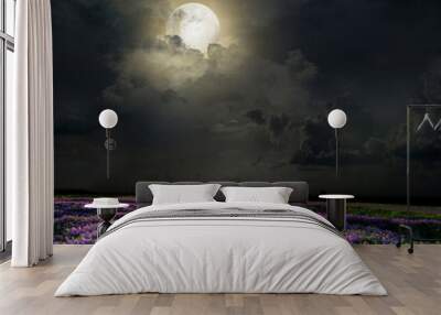 Lavender field in the moonlight Wall mural