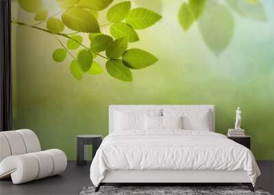 natural green background with selective focus Wall mural