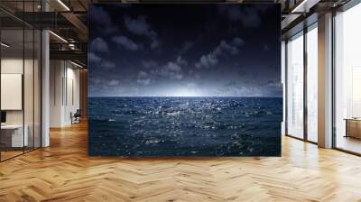 night sea 1 Wall mural