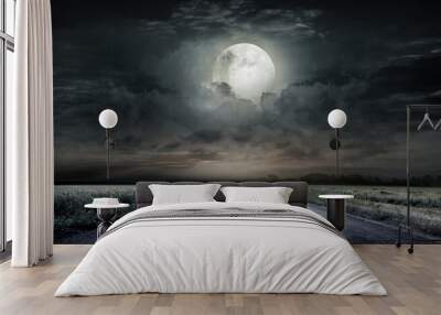 road in the night Wall mural