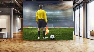 Soccer ball on the field of stadium Wall mural