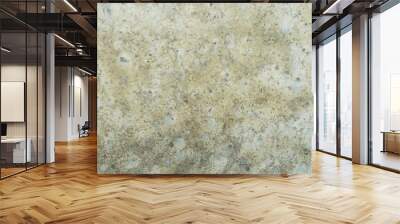  Concrete surface texture for interior design Wall mural