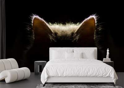 cat ears,cat in the dark Wall mural