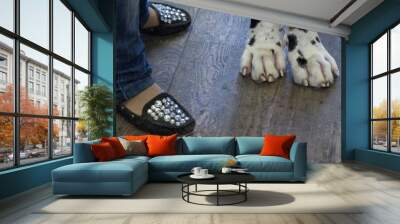 tiny legs of the mistress and large paws of her dog Wall mural