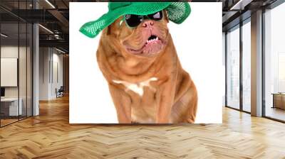 Smiling lady dog wearing green straw hat and sun glasses Wall mural