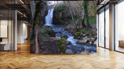 waterfall in forest Wall mural