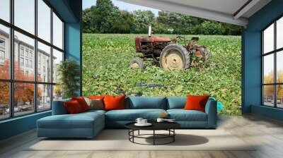 old tractor in the field Wall mural