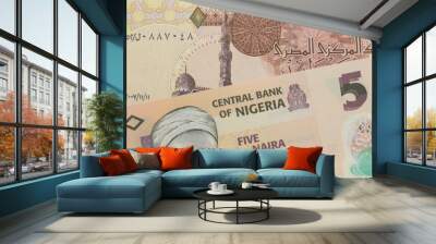 A macro image of a orange, plastic five naira note from Nigeria paired up with a one pound banknote from Egypt.  Shot close up in macro. Wall mural