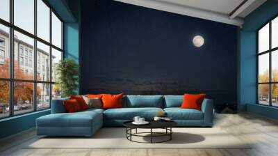 Full moon in dark star sky over town roofs. Wall mural