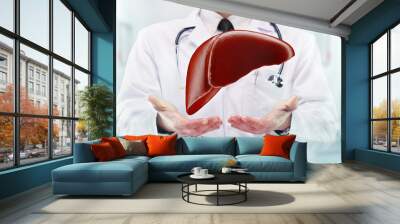 Doctor with stethoscope and liver on the  hands in a hospital Wall mural