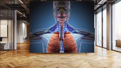 The human body by X-rays on blue background. Wall mural