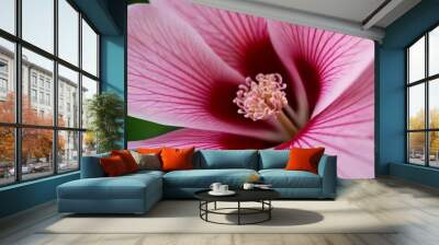  Vibrant blossom in full bloom Wall mural