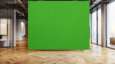  Vibrant green background for your creative projects Wall mural