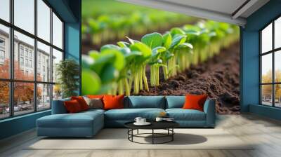 Vibrant sprouts in a field symbolizing growth and renewal Wall mural