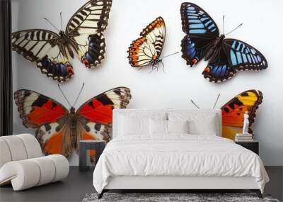 A collection of six colorful butterflies with wings spread on a white background. Wall mural