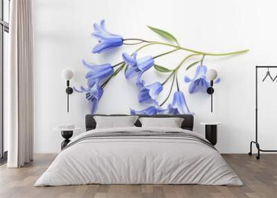 bluebell flower. Bluebell floweron a pure white background. A delicate arrangement of blue flowers on a white background, perfect for spring-themed de Wall mural