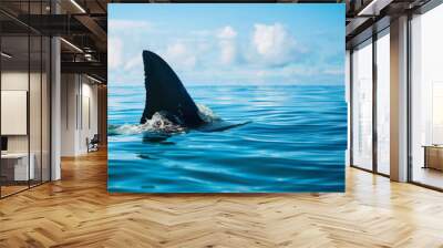 Great white shark fin breaching surface of the ocean Wall mural