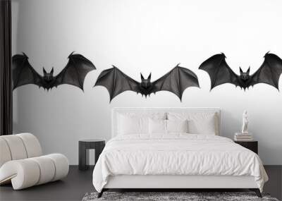 halloween bat and bats Wall mural