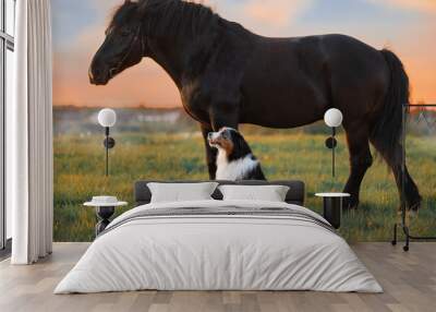 A dog and a horse. Friendship of a dog and a horse in nature. High quality photo Wall mural