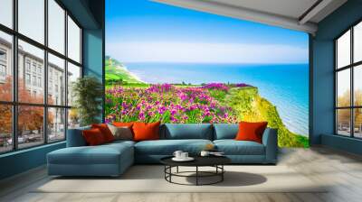 english holiday hilly countryside with purple flowers by english channel / sea. golden cap on jurass Wall mural