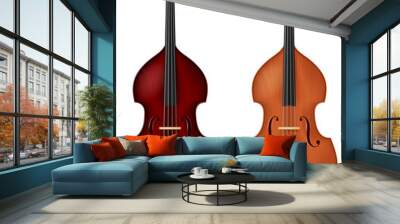 Classic double bass in two color schemes. Vector illustration.
 Wall mural