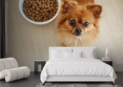 A cute Pomeranian stands beside a full bowl of food, looking attentively with its shiny, expressive eyes, waiting to be fed against a wooden floor background. Wall mural