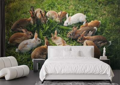 A delightful gathering of rabbits hungrily munching on fresh green grass in a sunny, lush meadow, creating a warm and lively countryside scene. Wall mural