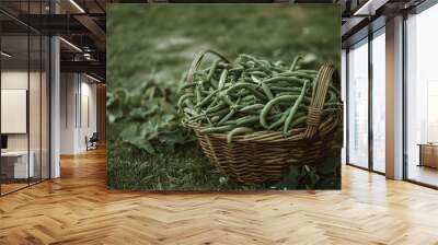 A wicker basket brimming with green beans is set on verdant grass, embodying the essence of a fruitful harvest in a serene garden. Wall mural