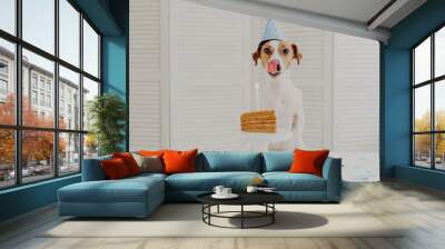 Horizontal shot of small dog being on birthday party, poses near piece of delicious cake with candle, shows tongue as wants to eat, wears festive cone hat. Festive event and celebration concept Wall mural