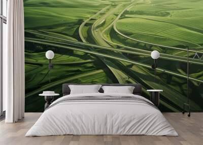 Serpentine highways weave through undulating, green hills, creating an intricate maze of asphalt cutting through lush, verdant landscapes under a soft light. Wall mural