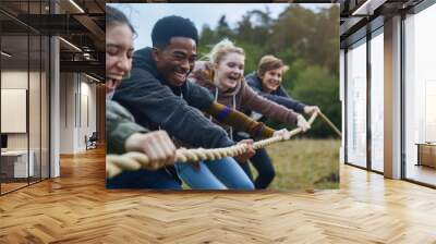 Young adults enthusiastically participate in a tug-of-war game in a grassy field, emphasizing team spirit and active engagement in outdoor fun. Wall mural