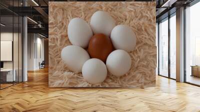 set of eggs on a fluffy background Wall mural