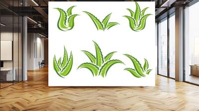 Aloe Vera set. Collection icon Aloe Vera. Vector Wall mural