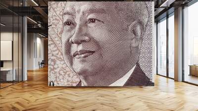 Cambodia king Norodom Sihanouk portrait on 1000 riels banknote macro,Cambodian money closeup Wall mural