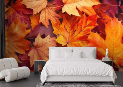 Autumn Leaves Background. Fall Maple Leaf with Orange Tones in Natural Garden Setting Wall mural