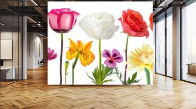 Beautiful Flowers. Collection of Blossoming Botanical Beauty for Banner Design Wall mural