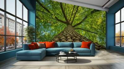 Below the Sky: Upward View of Green Oak Trees in the Forest Wall mural