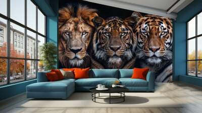 Big Cats: Adult Lion, Tiger, Spotted Leopard Together in Wildcat Carnivore Gathering Wall mural